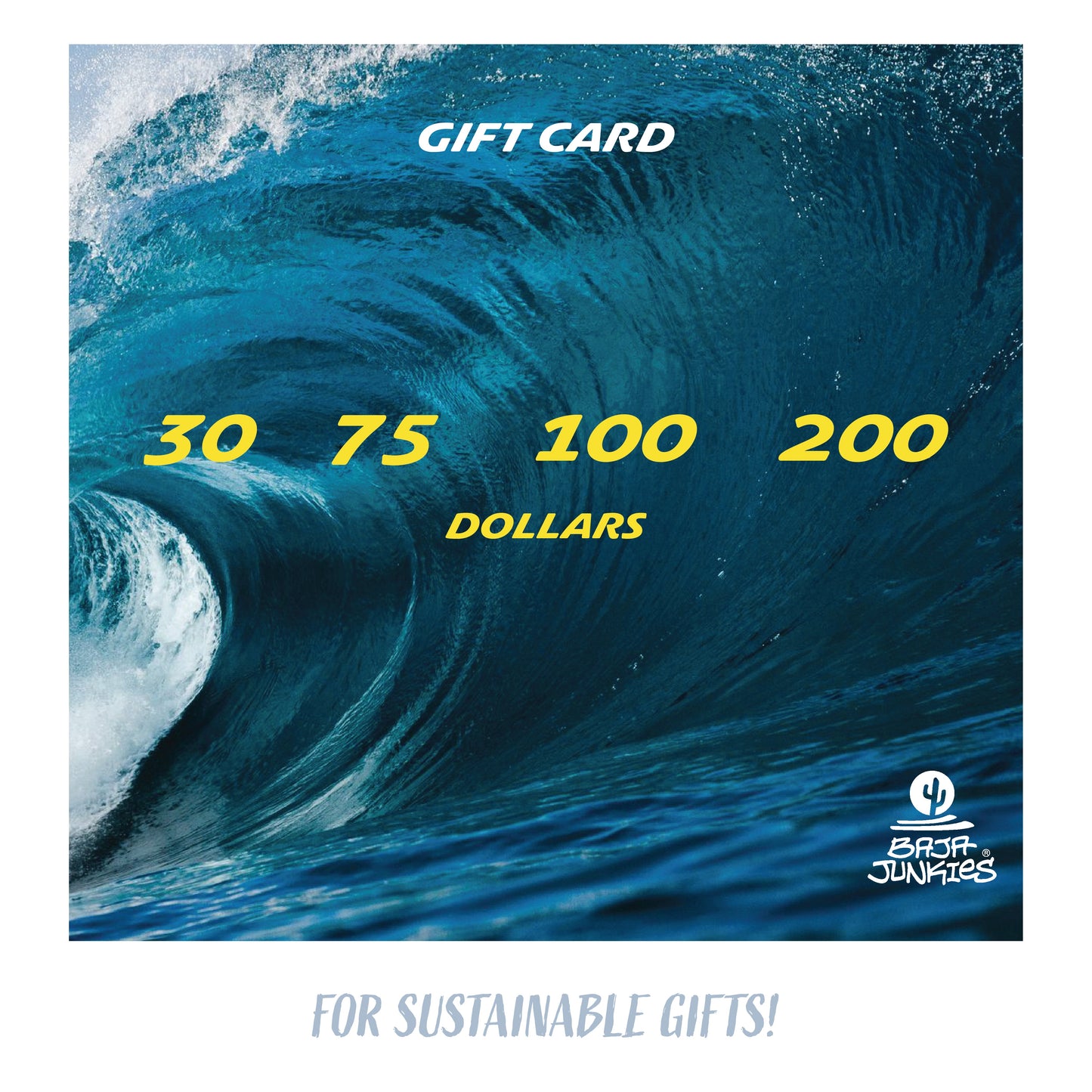 Baja Junkies $100 Gift Card